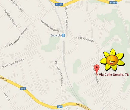 mappa-girasole